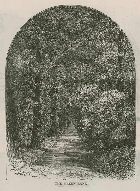 Il viale verde, Holland House da English School