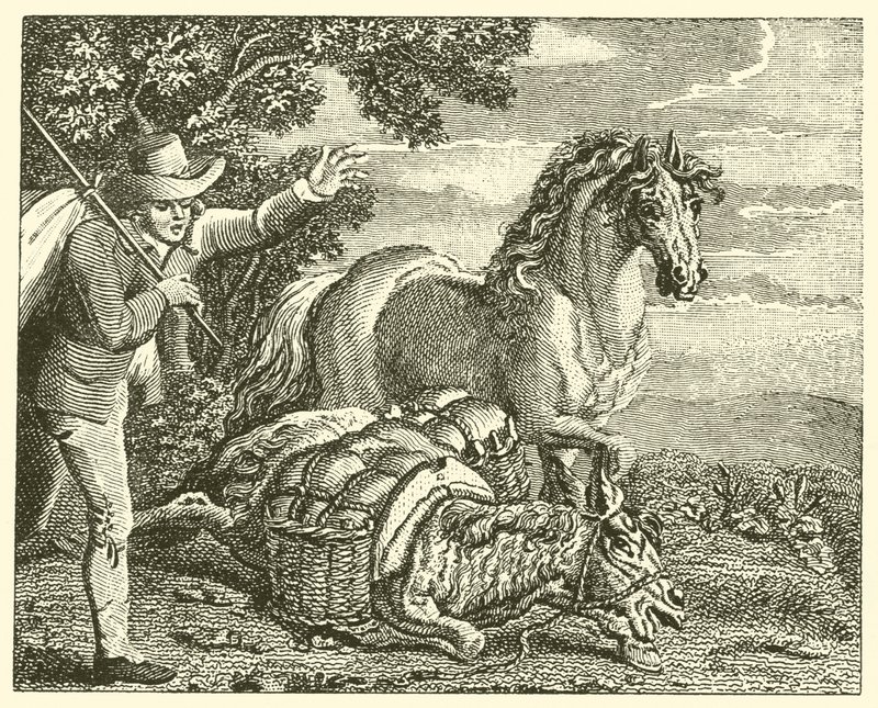 Il cavallo e l