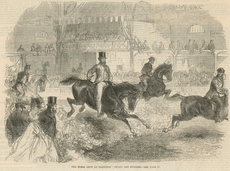 La mostra del cavallo a Islington da English School