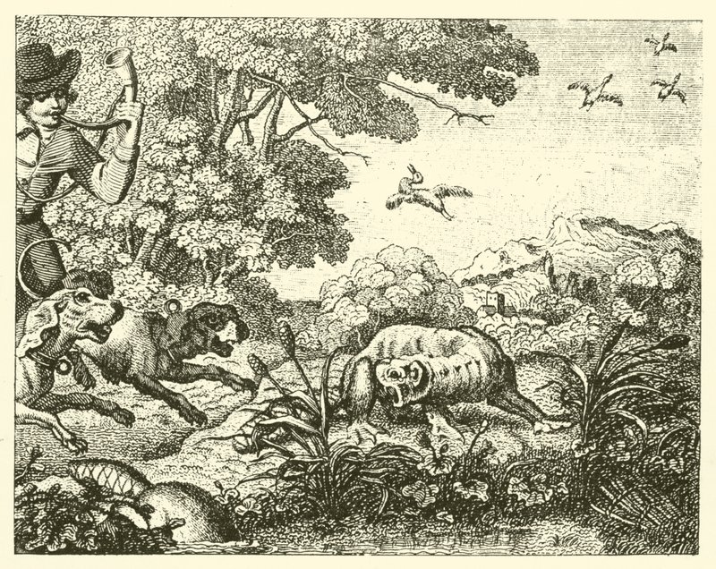 Il castoro cacciato (incisione) da English School