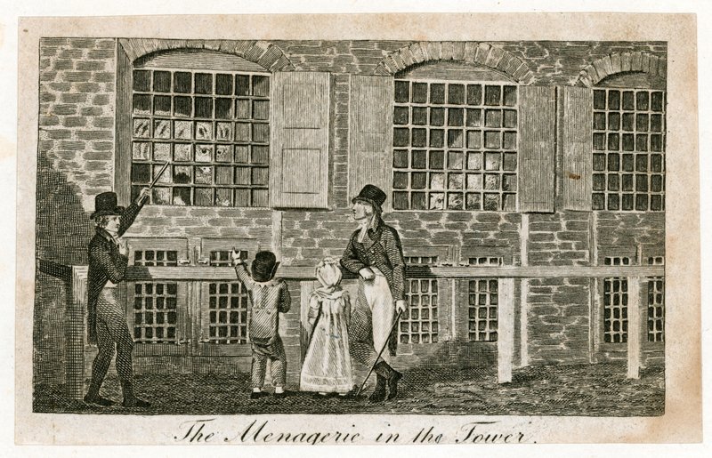 La menagerie nella Torre di Londra circa 1820 da English School