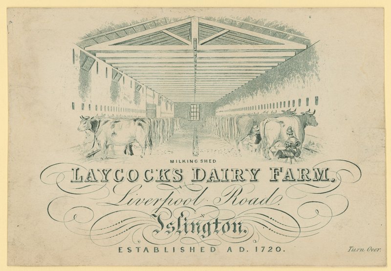 La stalla per la mungitura, Laycocks Dairy Farm, Liverpool Road, Islington da English School