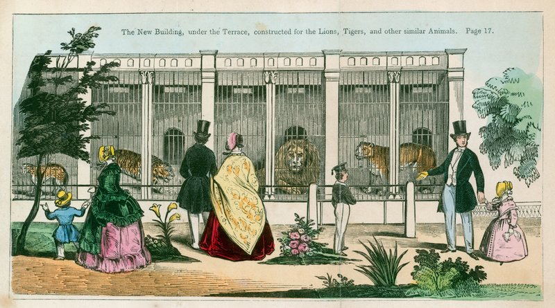 Il nuovo edificio, sotto la terrazza, costruito per leoni, tigri e altri animali simili da English School