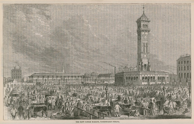 Il nuovo mercato del bestiame, Copenhagen Fields, Londra da English School