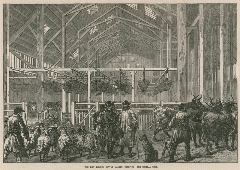 Il nuovo mercato del bestiame estero, Deptford, Londra - il capannone centrale da English School
