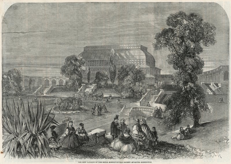 I nuovi giardini della Società Orticola Reale a South Kensington da English School