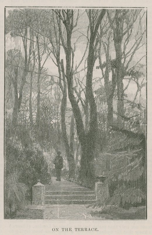 Il nuovo parco pubblico a Highgate: sulla terrazza da English School