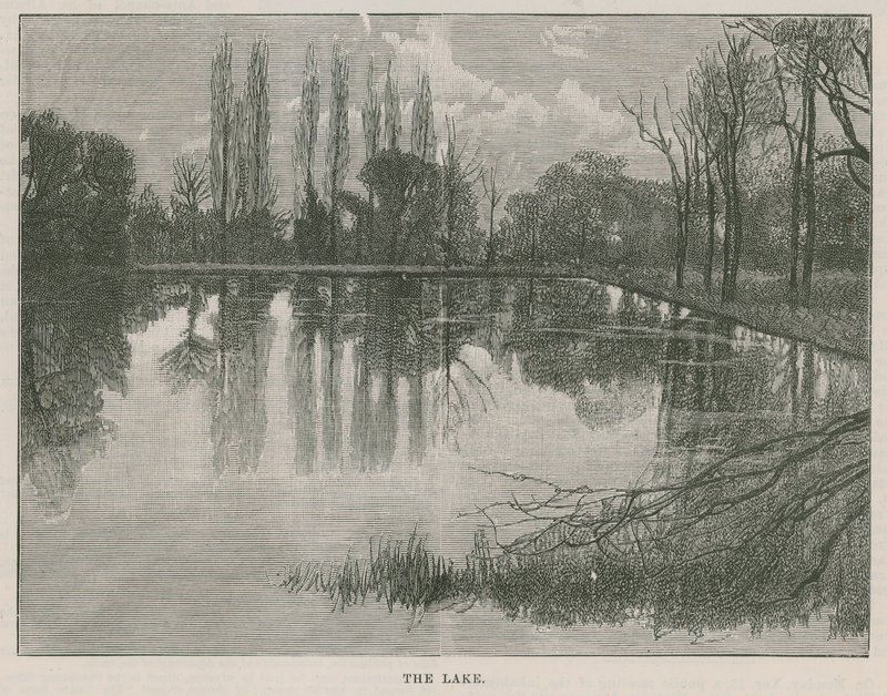 Il nuovo parco pubblico a Highgate: il lago da English School