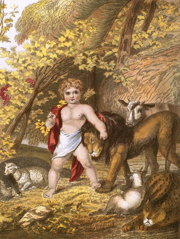 Il regno pacifico da English School