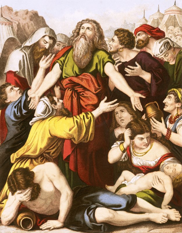 Il popolo d