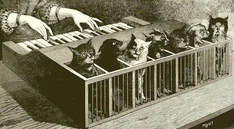 Il pianoforte dei gatti da English School