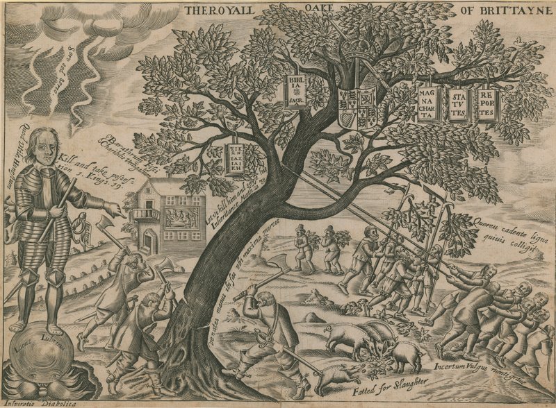 La quercia reale della Gran Bretagna da English School