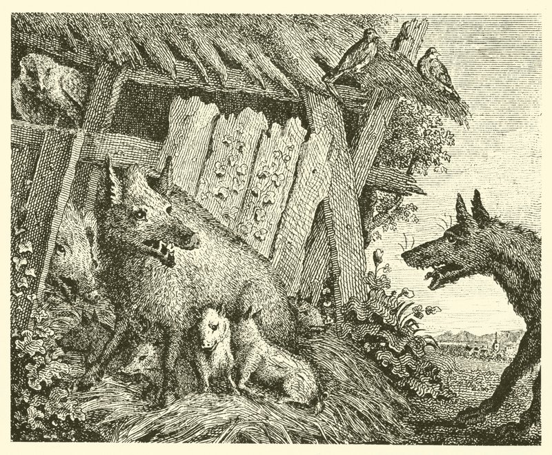 La scrofa e il lupo (incisione) da English School