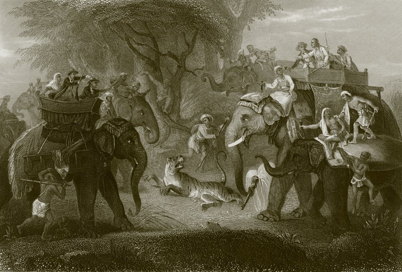 La caccia alla tigre da English School