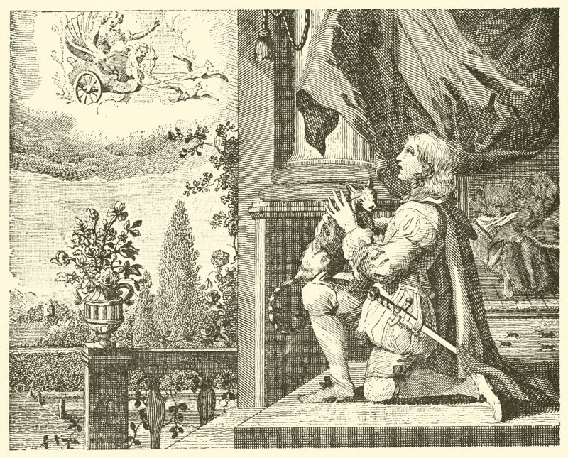 Il giovane e il suo gatto da English School