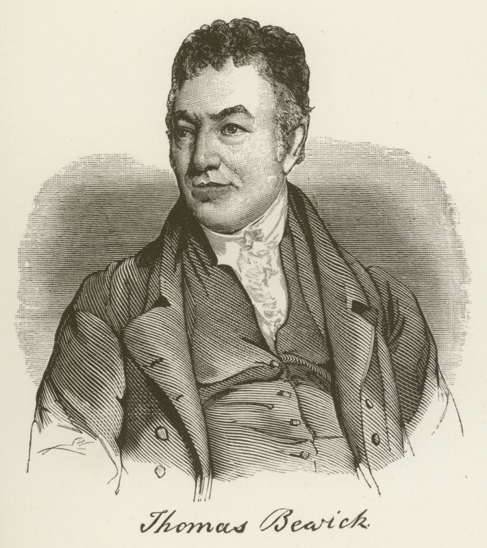Thomas Bewick da English School