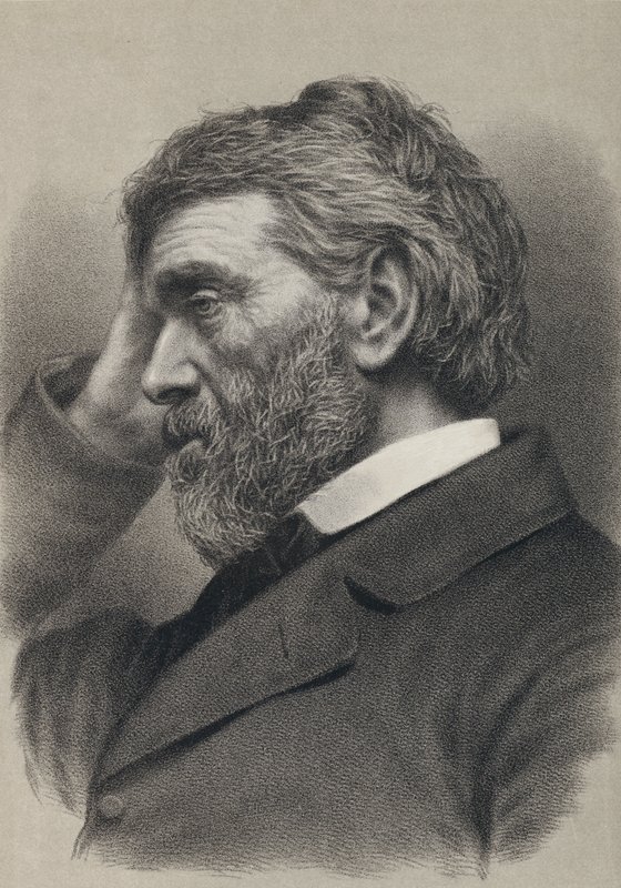 Thomas Carlyle (incisione) da English School