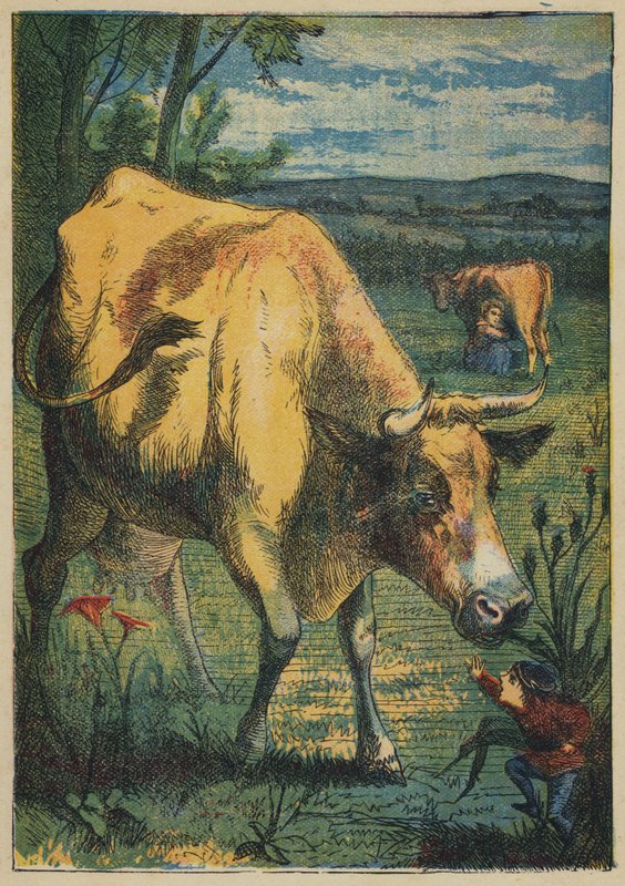 Pollicino e la Mucca da English School