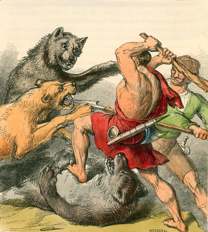 Tom e il riparatore che uccidono gli orsi e i leoni da English School