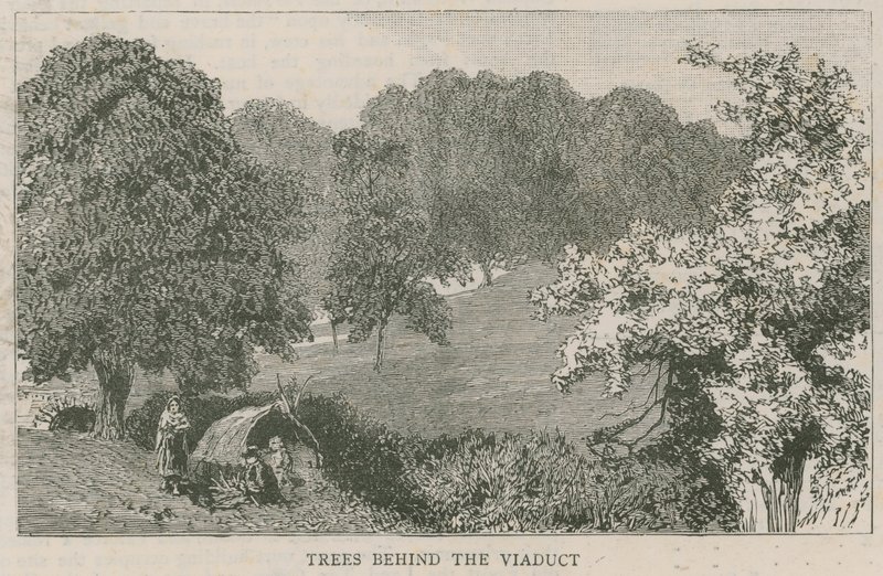 Alberi dietro il viadotto da English School