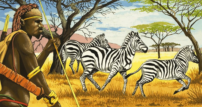 Tribu e zebre da English School