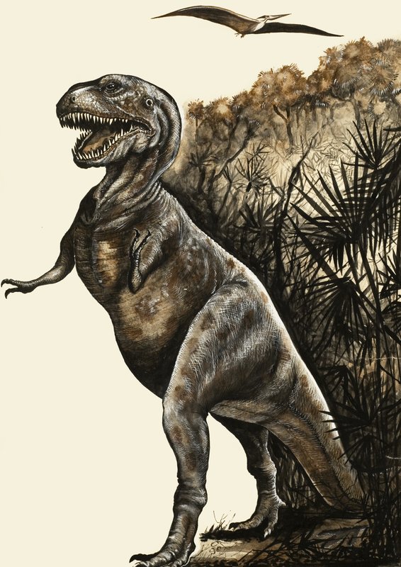 Tyrannosaurus Rex da English School