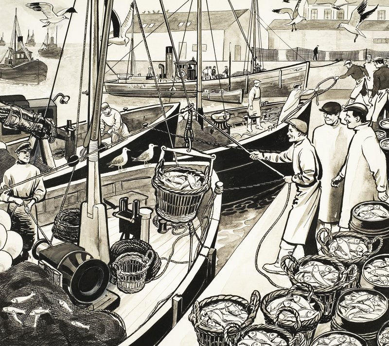 Porto di pesca non identificato con pesci sul molo da English School