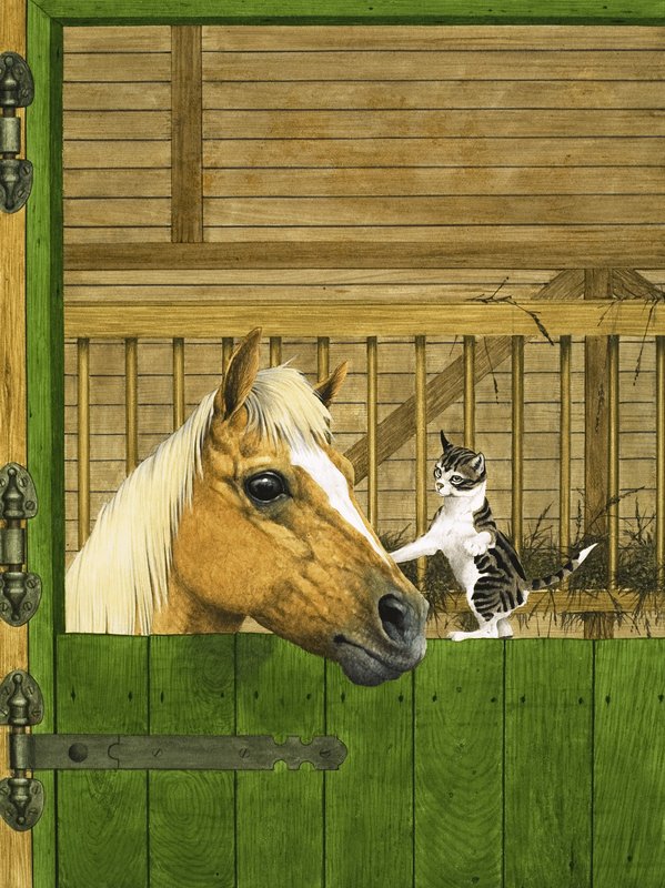 Cavallo non identificato e gattino giocoso da English School