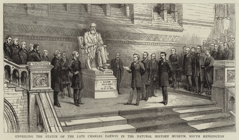 Inaugurazione della statua del defunto Charles Darwin nel Museo di Storia Naturale, South Kensington da English School