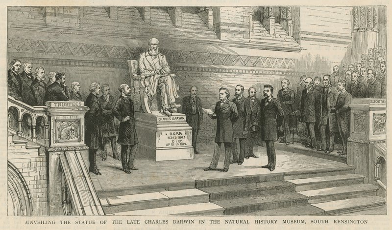Inaugurazione della statua del defunto Charles Darwin nel Museo di Storia Naturale, South Kensington da English School
