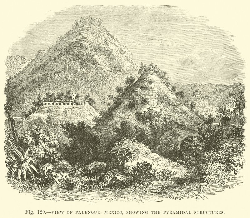 Veduta di Palenque, Messico, che mostra le strutture piramidali da English School