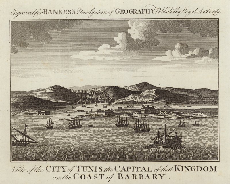 Veduta della città di Tunisi da English School