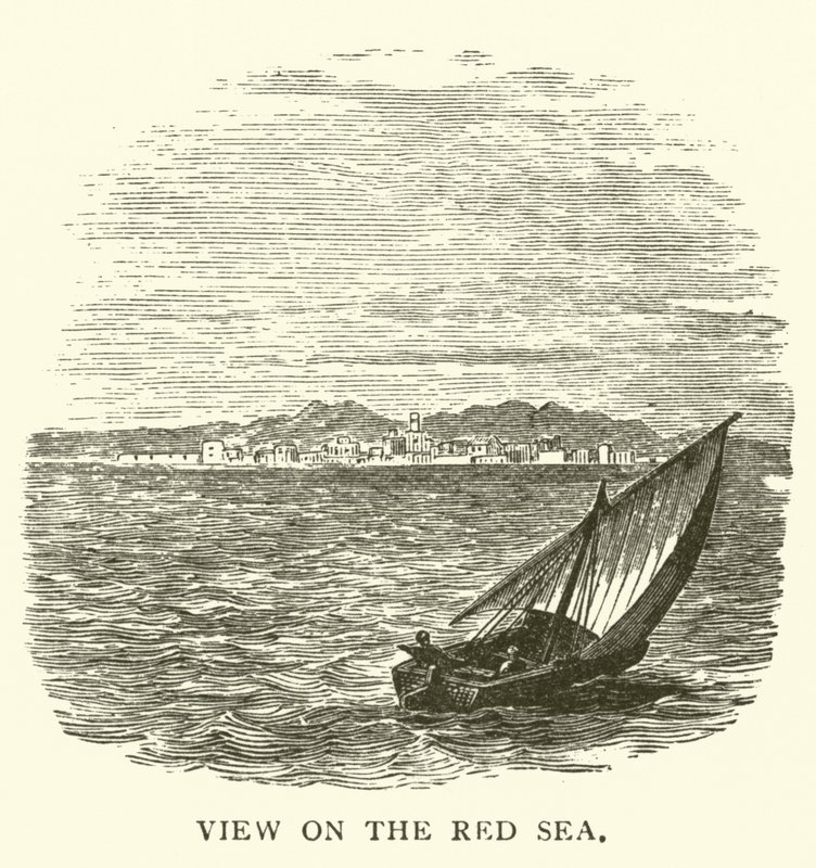 Veduta sul Mar Rosso da English School