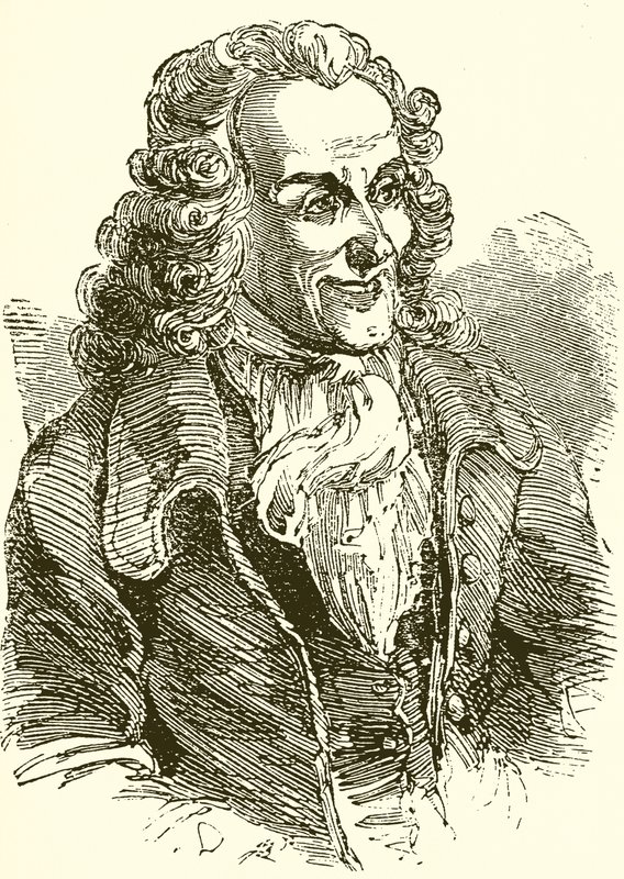Voltaire da English School