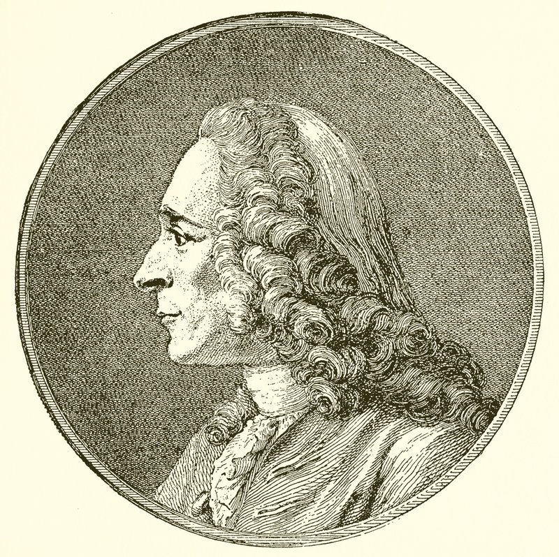 Voltaire da English School