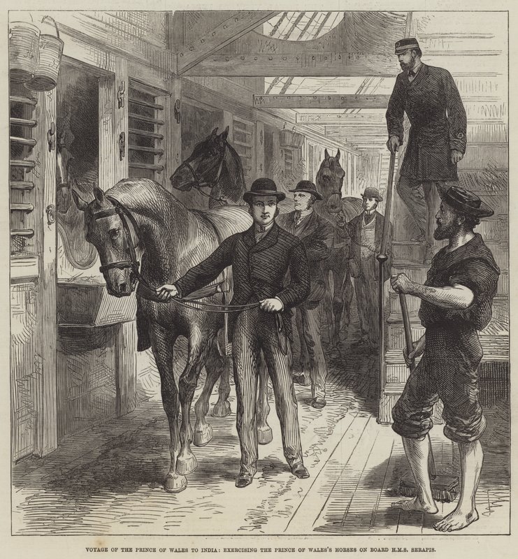 Viaggio del Principe di Galles in India, esercitazione dei cavalli del Principe di Galles a bordo della HMS Serapis da English School