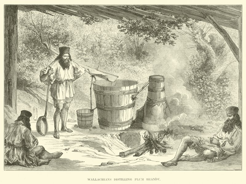 Valacchi che distillano brandy di prugne da English School