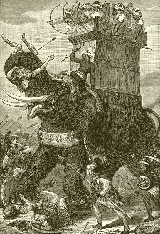 Elefante da guerra nell