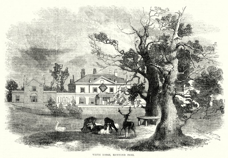 White Lodge, Richmond Park (incisione) da English School