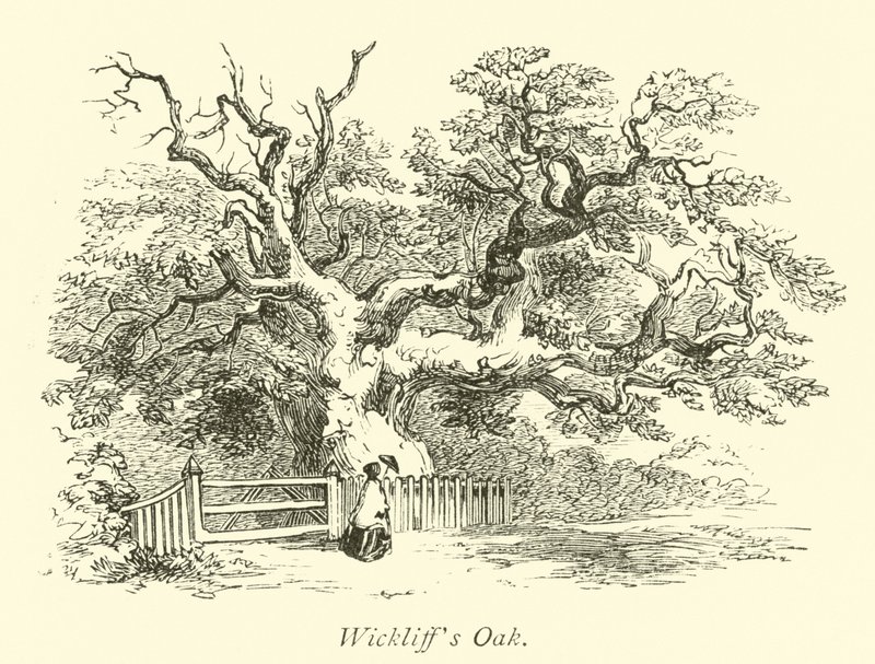 La Quercia di Wickliff da English School
