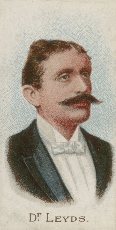 Willem Johannes Leyds, avvocato e statista olandese da English School