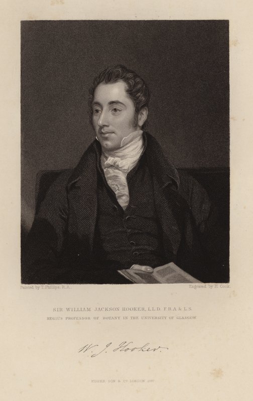 William Jackson Hooker da English School