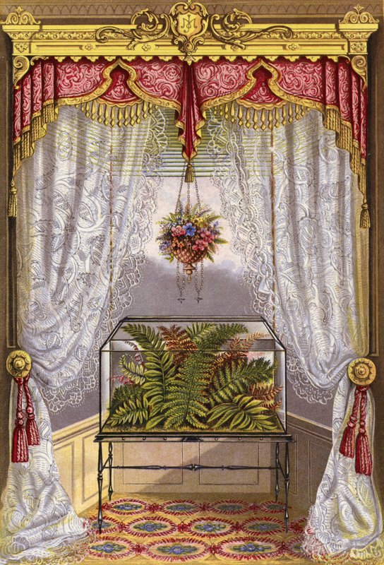 Decorazione della finestra da English School