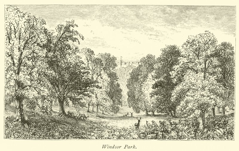 Parco di Windsor da English School