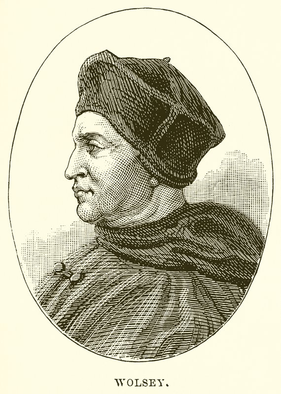 Wolsey da English School