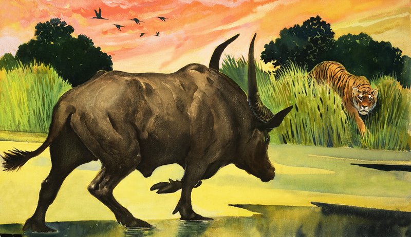 Meraviglie della natura: l
