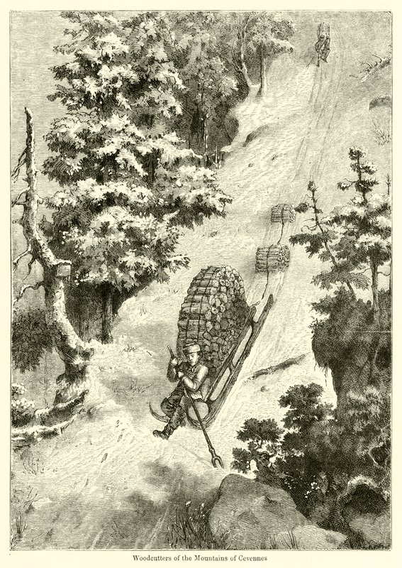 Taglialegna delle Montagne di Cevennes da English School