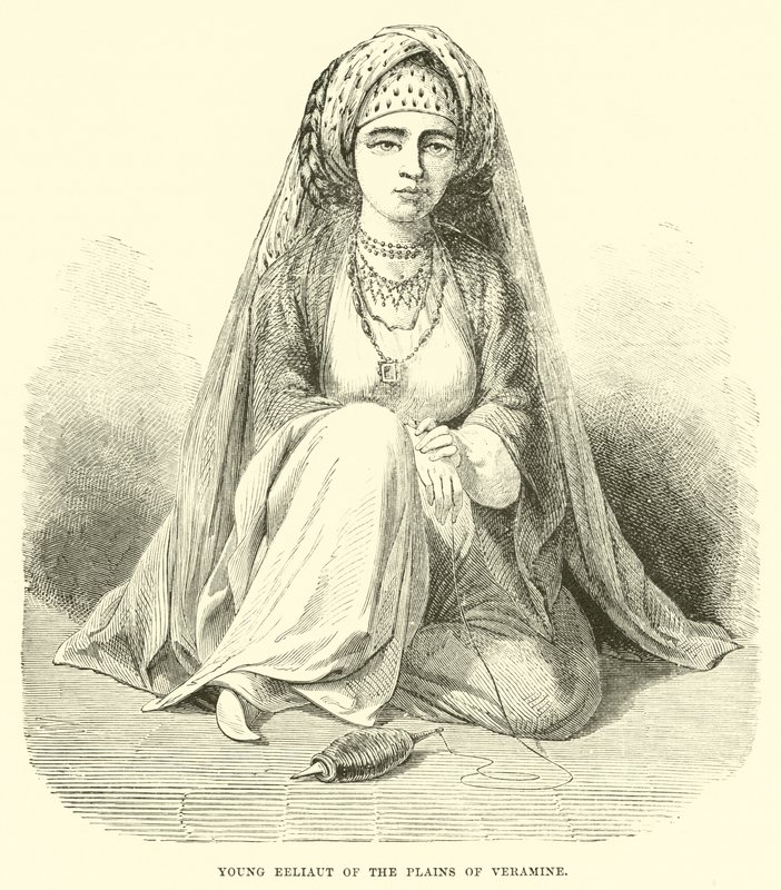 Giovane Eeliaut delle pianure di Veramine da English School