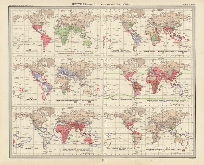 Zoogeografia: Reptilia, Lacertilia, Crocodilia, Chelonia, Prosauria da English School