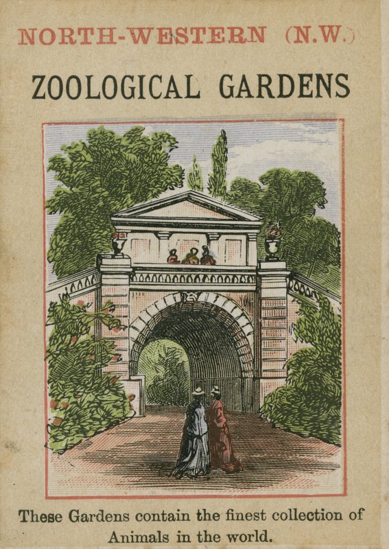 Giardini Zoologici da English School